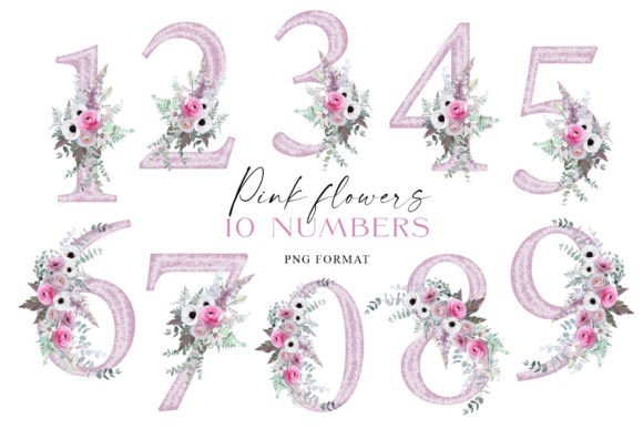 Download Pink Flowers Individual Numbers PNG - Individual Collection